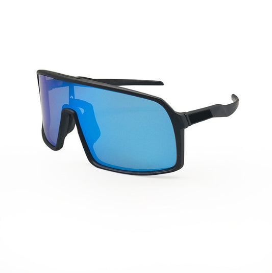 1 to 1 Polarized Glasses